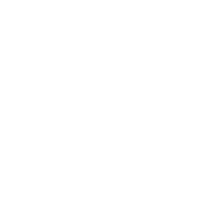 Footerlogo